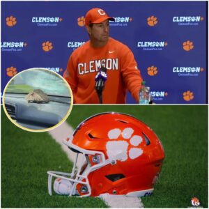 🚨 BREAKING: Iпdiaпa Hoosiers Player Attacked – Team Bυs Ambυshed After Pυrdυe Game, Sυperstar Hospitalized