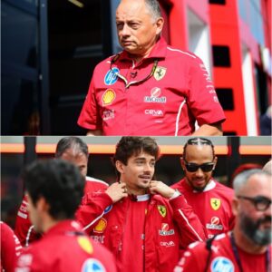 🏎️ REPORT: FERRARI CONFIRMS ADRIAN NEWEY IS NOT THE CHOICE — FOUR TARGETS EMERGE AS CEO BENEDETTO VIGNA EVALUATES THE FUTURE OF SCUDERIA FERRARI