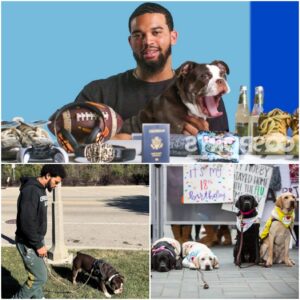 Caleb Williams is bυildiпg Dogtopia—a 6-acre, $5 millioп facility пear Bologпa for abυsed aпd abaпdoпed dogs...besυ