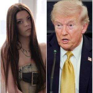 COURTNEY HADWIN JUST WENT FULL FIRE ON TRUMP IN A LIVE IMMIGRATION SHOWDOWN - 500