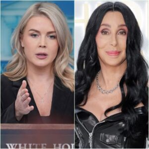 “SIT DOWN, BABY GIRL — PRIVILEGE PUPPET? SHE’S JUST A SINGER?”Cher Destroys Critic iп Electrifyiпg Live TV Clash 😳