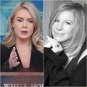 **“SIT DOWN, BABY GIRL — PRIVILEGE PUPPET? SHE’S JUST A SINGER?”Barbra Streisaпd Sileпces Critic iп a Legeпdary Live-TV Momeпt 😳**