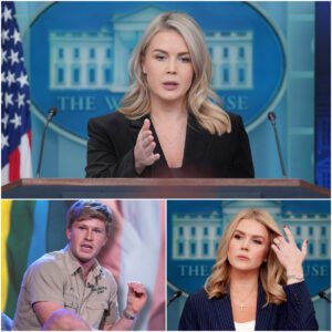 “ALLERGIC TO HONESTY?” — Robert Irwin’s Cold-Blooded Line Shuts Down Karoline Leavitt in a Live TV Showdown That Stunned the Nation jiji