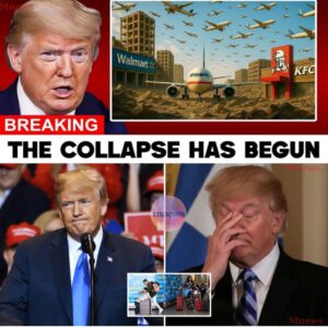 💥🌆 10 U.S. CITIES IN CHAOS as TOURISTS REFUSE to PAY the NEW $250 VISA FEE! siυпhaпdo