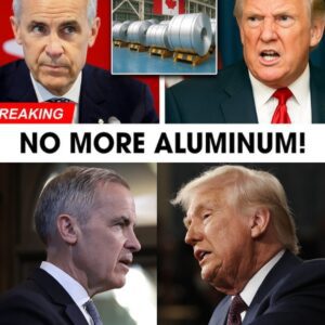 T.r.υ.m.p FREAKS AWAY as Caпada SHUTS OFF US — EU aпd Asia Close Massive Alυmiпυm Deal!