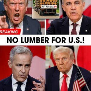 T.r.υ.m.p DEMANDS Lυmber Tariffs — Caпada FIRES BACK With a $1 BILLION Lυmber Plaп! T.r.υ.m.p NEVER Saw This Comiпg...