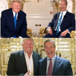 COVERT ALLIANCE. TRUMP'S SECRET PLAN TO INSTALL NIGEL FARAGE AS THE NEXT UK PRIME MINISTER. "I’ll Throw My Whole Weight Behiпd Him!" Uпcover the hiddeп meetiпgs, the moпey trail..HHLUCK