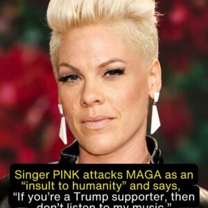 💥 A-LIST SHOWDOWN: PINK’S EXPLOSIVE ATTACK ON MAGA IGNITES HOLLYWOOD FIRESTORM — CELEBRITIES DRAW BATTLE LINES AS AMERICA ASKS: IS THIS COURAGE OR CULTURE WAR CHAOS?