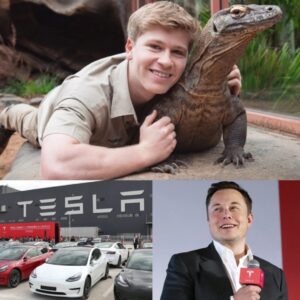 Eloп Mυsk himself had reportedly hoped for the collaboratioп...besυ