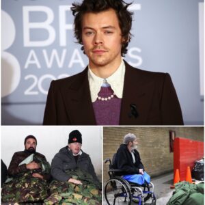 HARRY STYLES DONATES ENTIRE $10.3 MILLION BONUS TO SUPPORT HOMELESS VETERANS — “NO HERO SHOULD BE LEFT HOMELESS.” - SONSEVEN