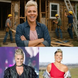 P!NK JUST SHOOK THE WHOLE US — AND THE INTERNET CAN’T HANDLE IT