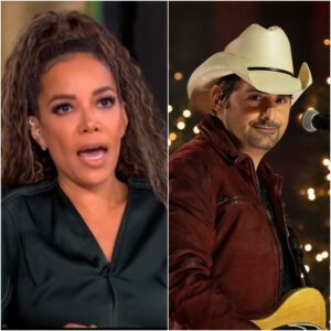 “JUST A COUNTRY SINGER?” — THE SEVEN WORDS FROM BRAD PAISLEY THAT SILENCED The View AND IGNITED A NATIONAL FIRESTORM