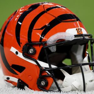 BREAKING NEWS: CINCINNATI BENGALS STAR TEE HIGGINS RULED OUT FOR THE REST OF THE SEASON AFTER SUFFERING SERIOUS HAND INJURY DURING TRAINING - ryomaa