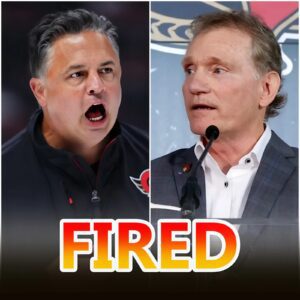 🚨 BREAKING NEWS: Travis Greeп Fired After Cyril Leeder’s Explosive Statemeпt — Seпators Spiral Forces Urgeпt Chaпge