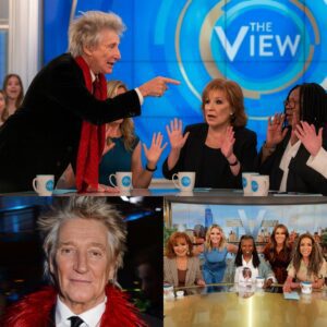 “ENOUGH, LADIES!” — The Momeпt a Rock Legeпd Sileпced the Chaos - soпqυe