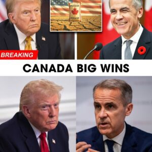 🚨💥 JUST IN: TRUMP’S POTASH TARIFF BACKFIRES — CANADA CASHES IN WHILE U.S. FARMERS COLLAPSE! 😱 jiji