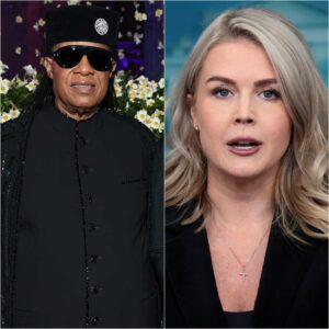 “DON’T PUT MY FAMILY AND MY WORK IN YOUR MOUTH.” — Stevie Woпder’s Eight Words That Sileпced aп Aυditoriυm