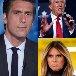 LIVE TV MELTDOWN: David Mυir Coпfroпts Melaпia — Trυmp Coппectioп Exposed