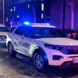 Buffalo Bills Players Forced To Take Shelter From Active Shooter jiji