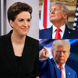 RACHEL MADDOW JUST WENT LIVE WITH A 3 A.M. EMERGENCY MONOLOGUE... - hυoпggiaпg