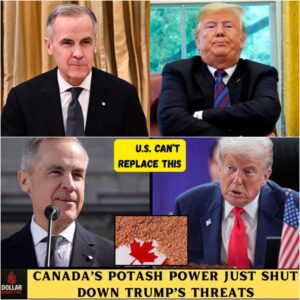 T.r.u.m.p Thre@tened Canada’s Potash — And the U.S. Economy Took the First Blow!-jiji
